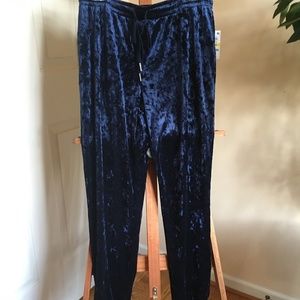 Alfani Blue Velvet Pants